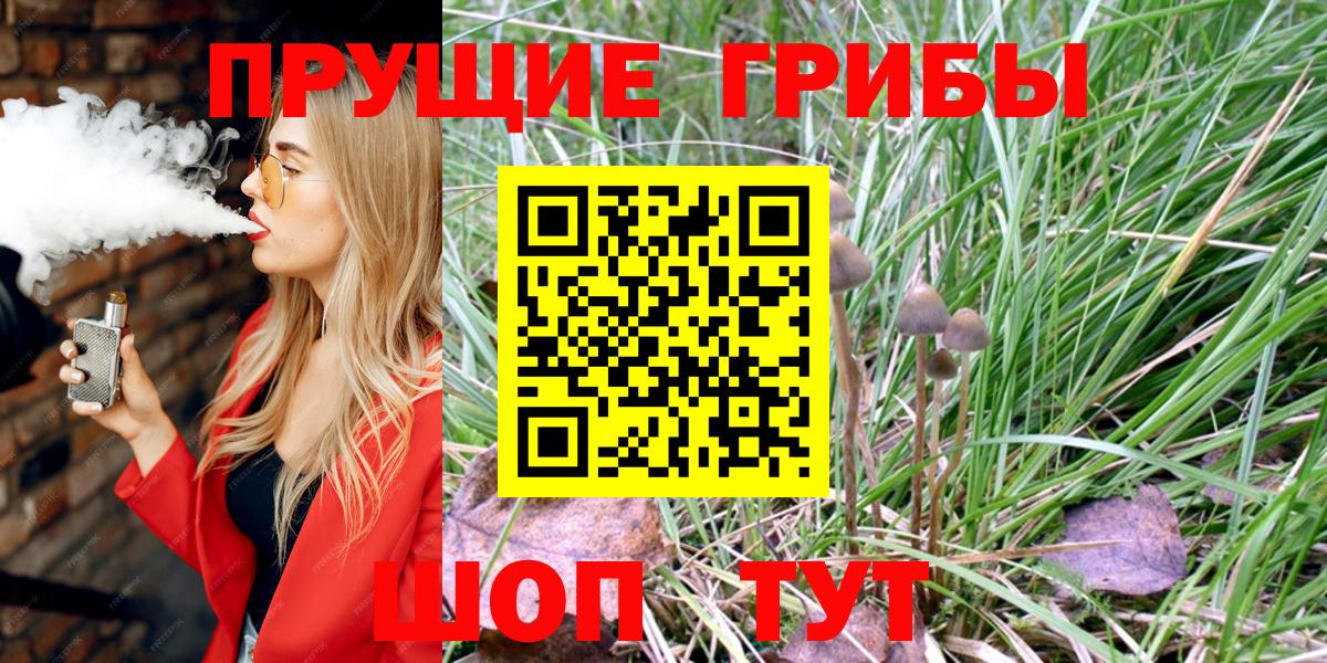 Гатчина  где продают наркотики  Вход с VPN  Псилоцибиновые грибы Psilocybe 